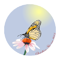 Butterfly on flower